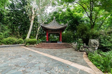 20190810-深圳园博园-37