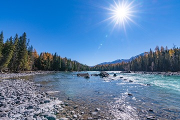 _ZCD0595