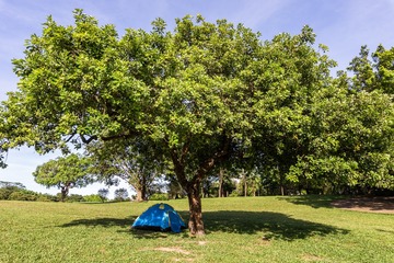 20190701-shiminzhongxin-51-1