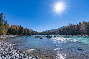 _ZCD0601