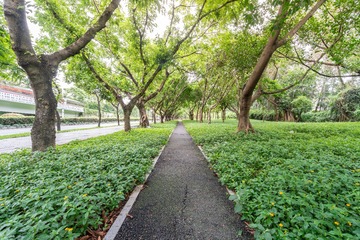20190504-5