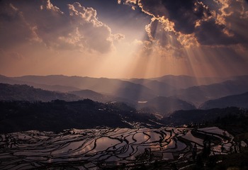 红河梯田