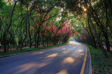 春路无尽