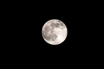 DSC_2444_