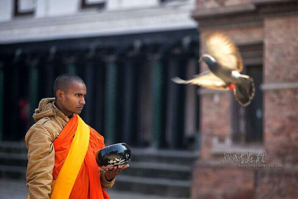 虔诚的僧人