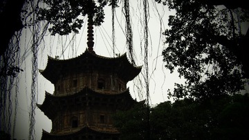 PC300302