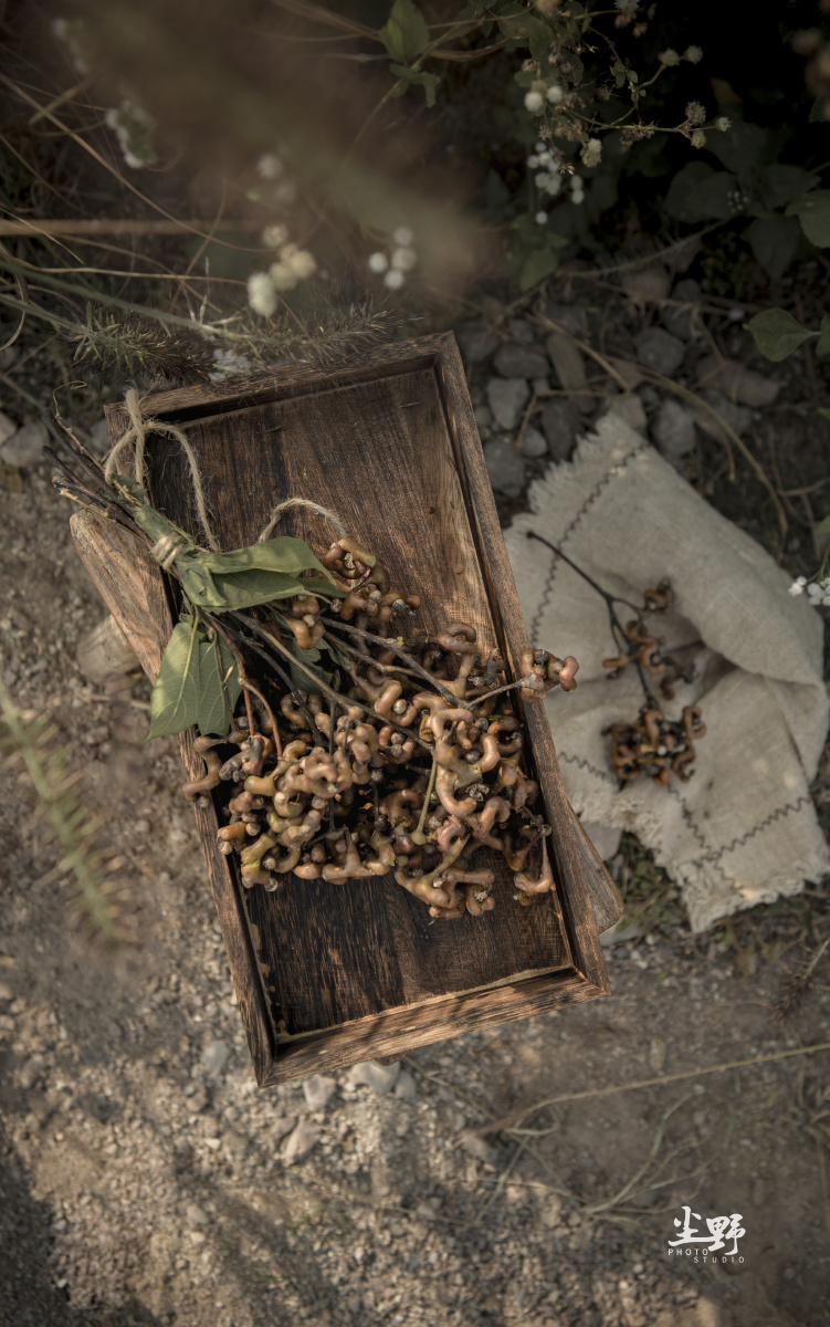 鸡爪梨相信很多人应该没吃到过了吧