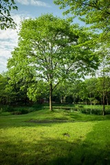 L1002623