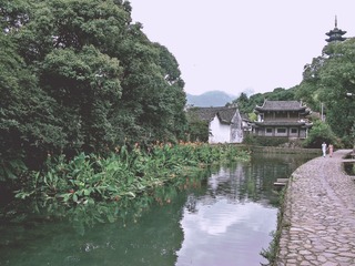 2011 芙蓉镇 温州