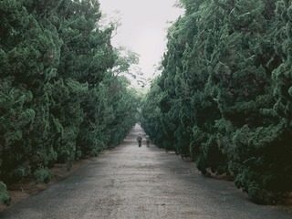 2014 青岛 绿道
