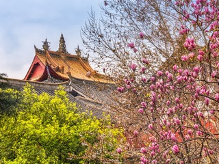 _1580230-HDR