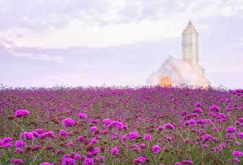 _DSC8523-HDR