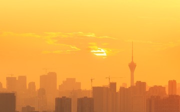 _DSC8536