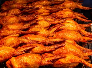 P1560511