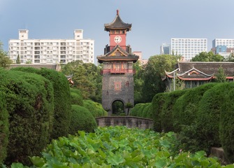 _DSC8607