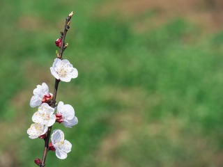 P1570174