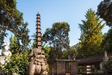 _DSC0064