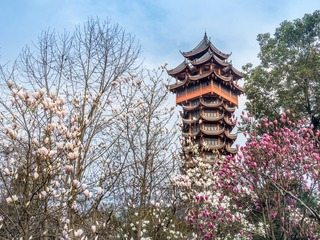 P1570436-HDR
