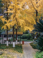 _1110640