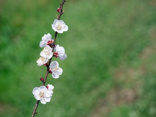 P1570176
