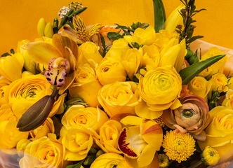 P1570341