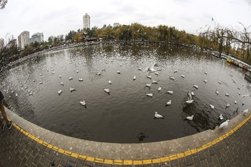 kmch_21