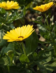 R0053765