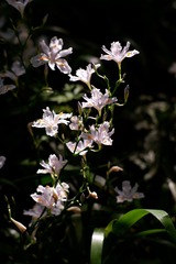91910DB1-0640-4A4C-A595-A83A26D60F50/L0/001