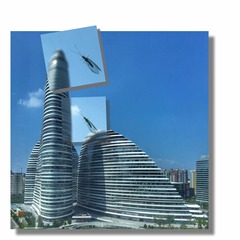 《虫上图》还是《图上虫》