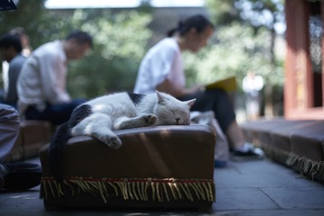 20190824法源寺-DSC02558