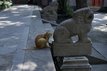 20190824法源寺-DSC02459