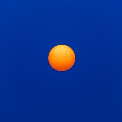 1000011608