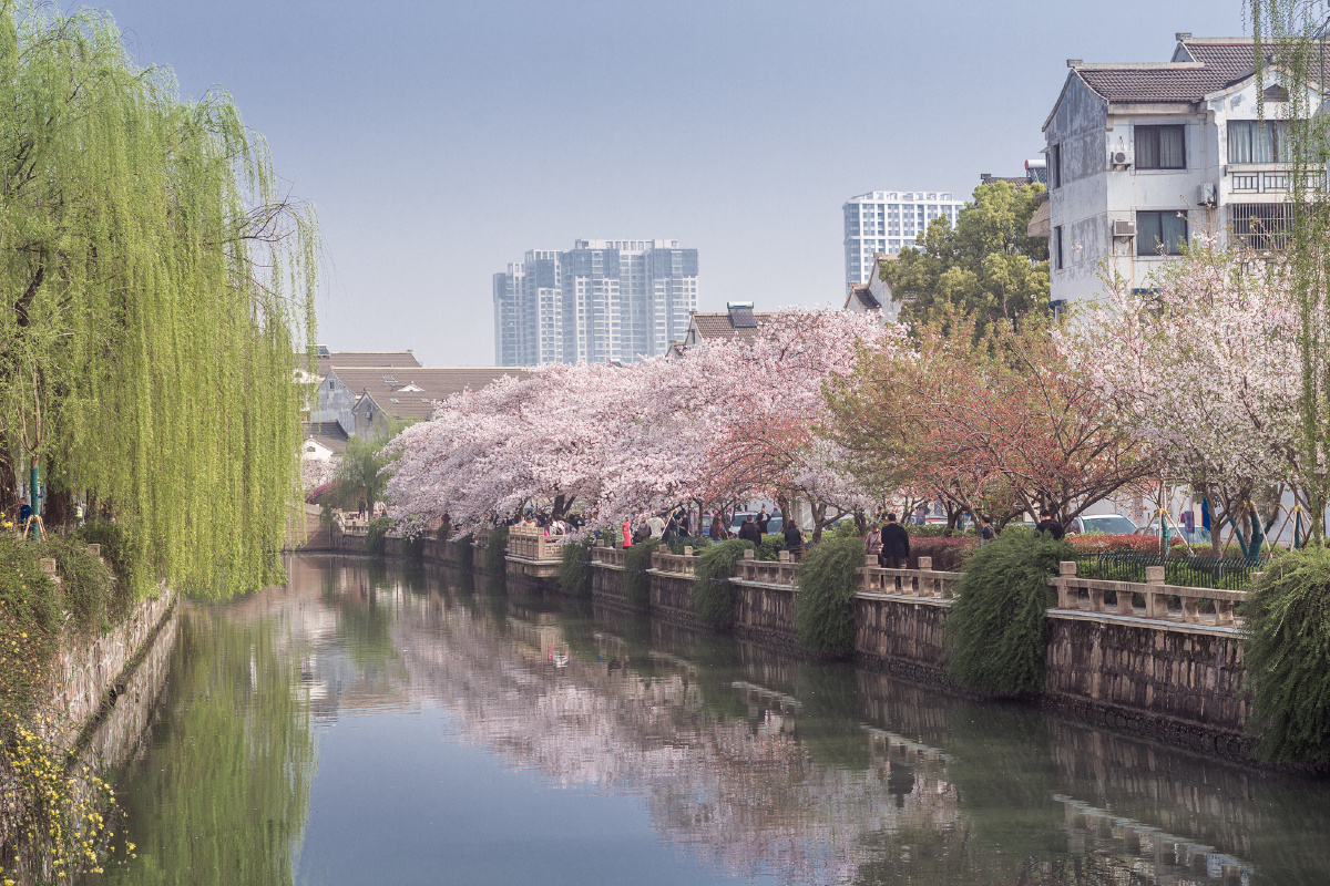 春日常熟护城河畔