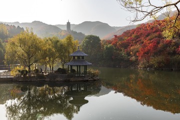 红叶谷美景