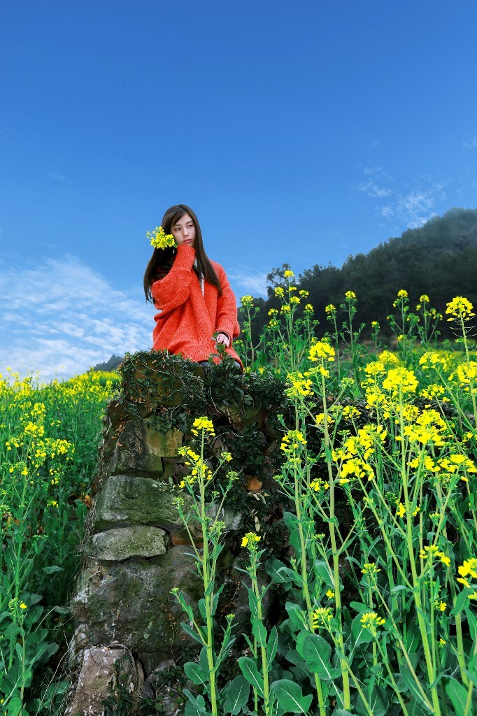 油菜花，对于在乡村生活过或者到过乡村的人并不会陌生，对于我这个土生土长的乡村人而言更是熟悉不过，那种亲切熟悉的感觉，如同一位质朴纯净的邻家女孩。