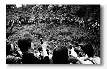 DSC01939_