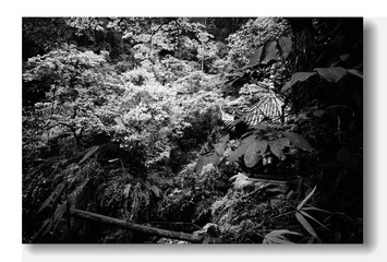 DSC01668_