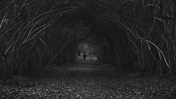 Walk toward light
