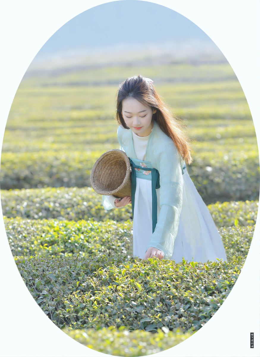 采茶姑娘