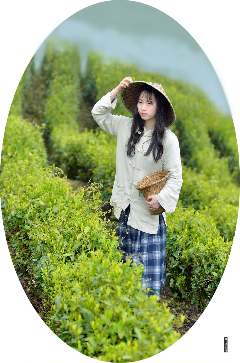颜值我们都爱日系摄影人像少女大光圈#采茶#茶园田园1/184樱下读论