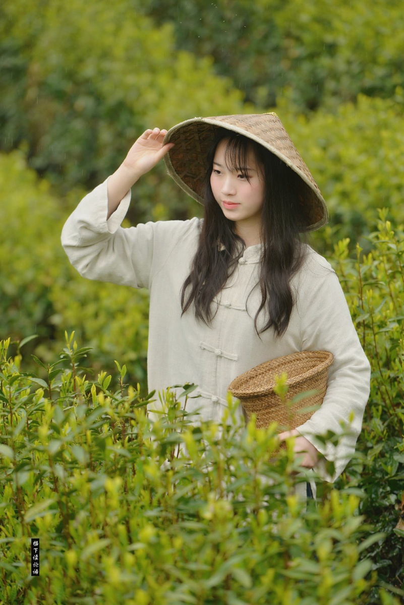 采茶姑娘