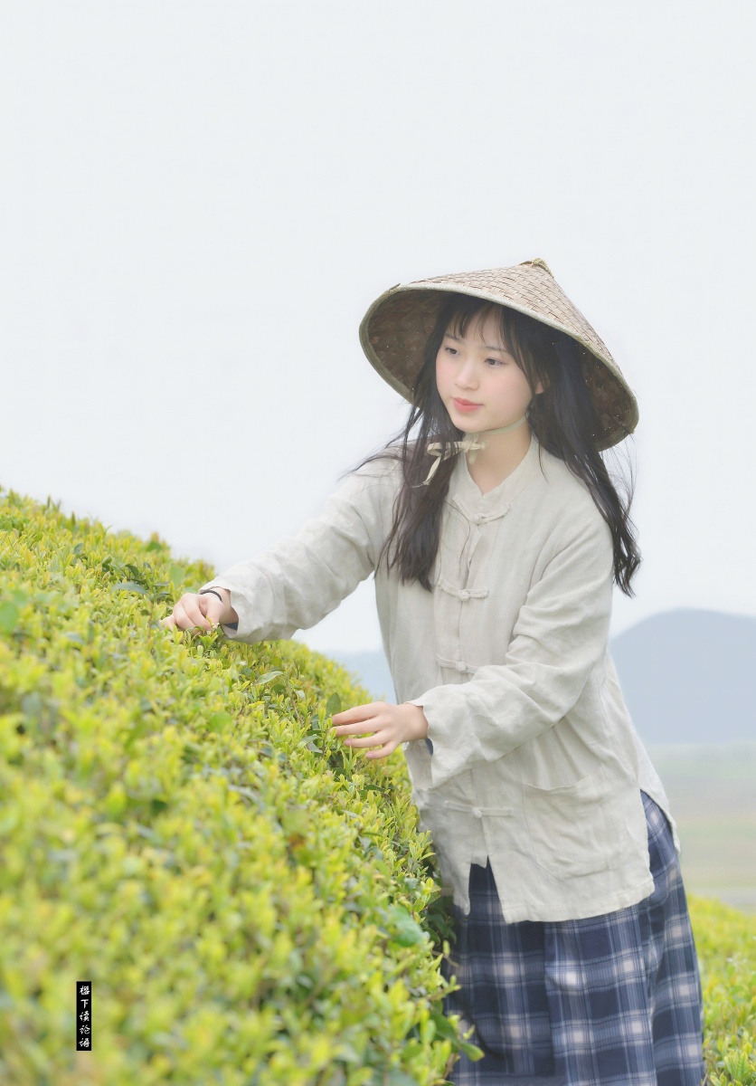 采茶姑娘