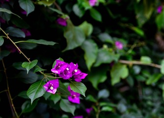 _DSC4512