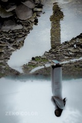 _ZK00253-1