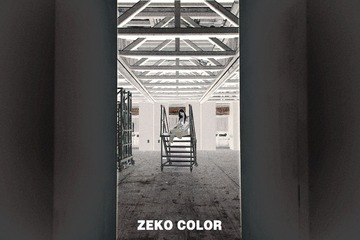 _NKE2383.1
