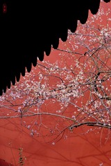439C831D-12E2-491A-A459-288DF1D1EDF4/L0/001