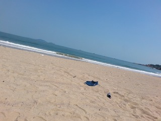 我海