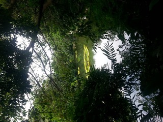 我在清秀山