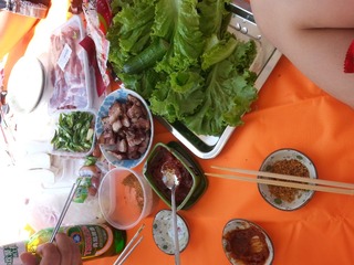 我在野营