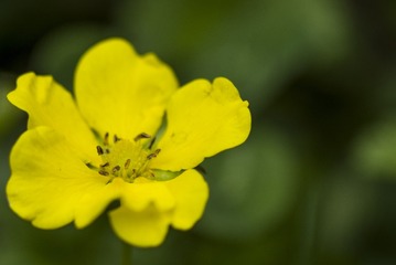 577621